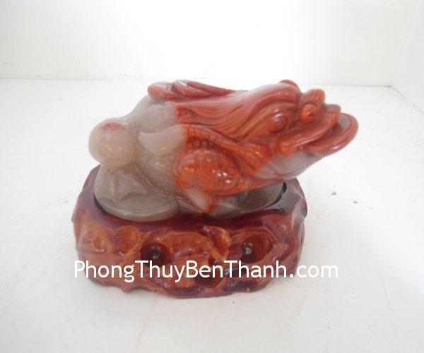 Cóc ngọc Hoàng Long ,giúp gia chủ giữ lại thật nhiều của cảiTT HL 1958 coc hoang long 1958 Cóc ngọc Hoàng Long ,giúp gia chủ giữ lại thật nhiều của cảiTT HL 1958